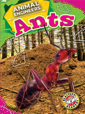 cover image of Ants